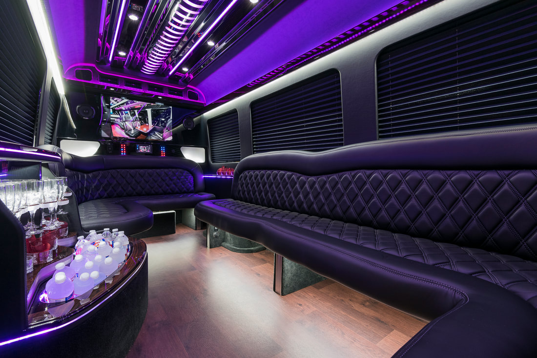 Party Bus in Cleveland, OH